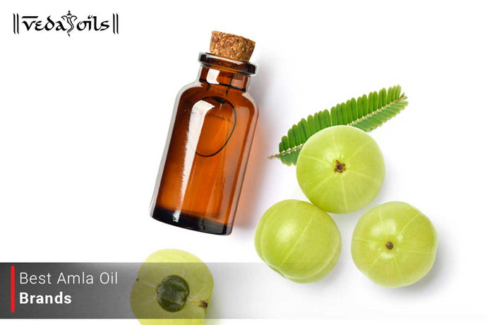 Amla Oil Brands In India 2024 - Which Is The Best?