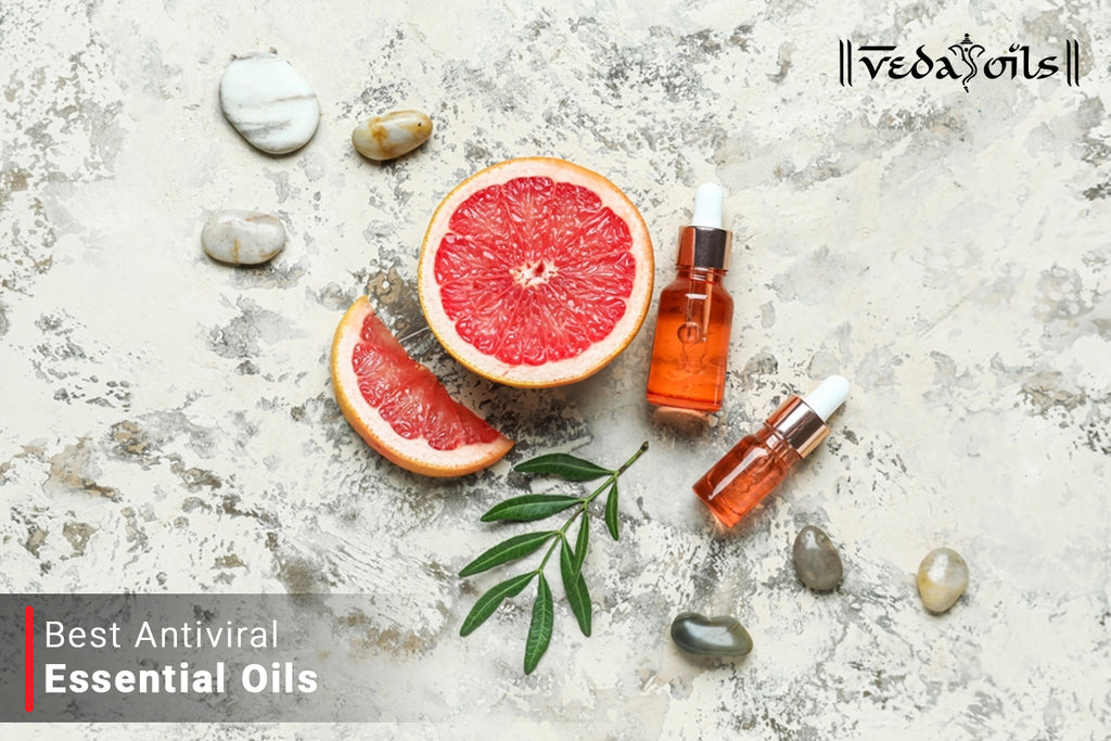 10 Best Antiviral Essential Oils | Most Powerful Antiviral Oils – VedaOils