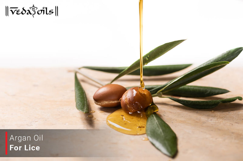 Argan Oil For Lice Prevention - Benefits & How To Use