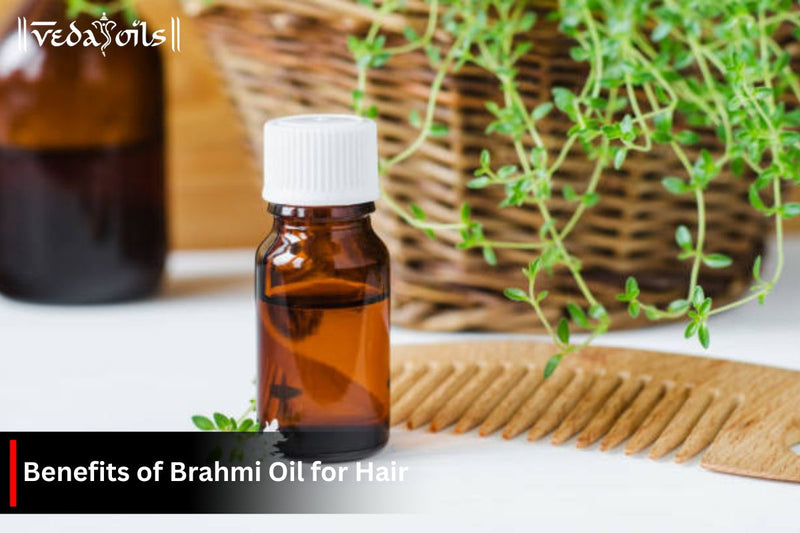 Tips for Using Brahmi Oil For Hair Care