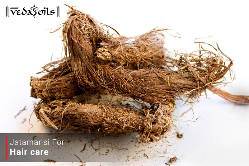DIY Jatamansi For Hair – 3 Simple Recipes to Try