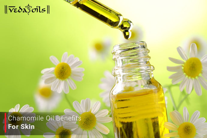 Chamomile Oil Benefits For Skin - You Should Know Before!
