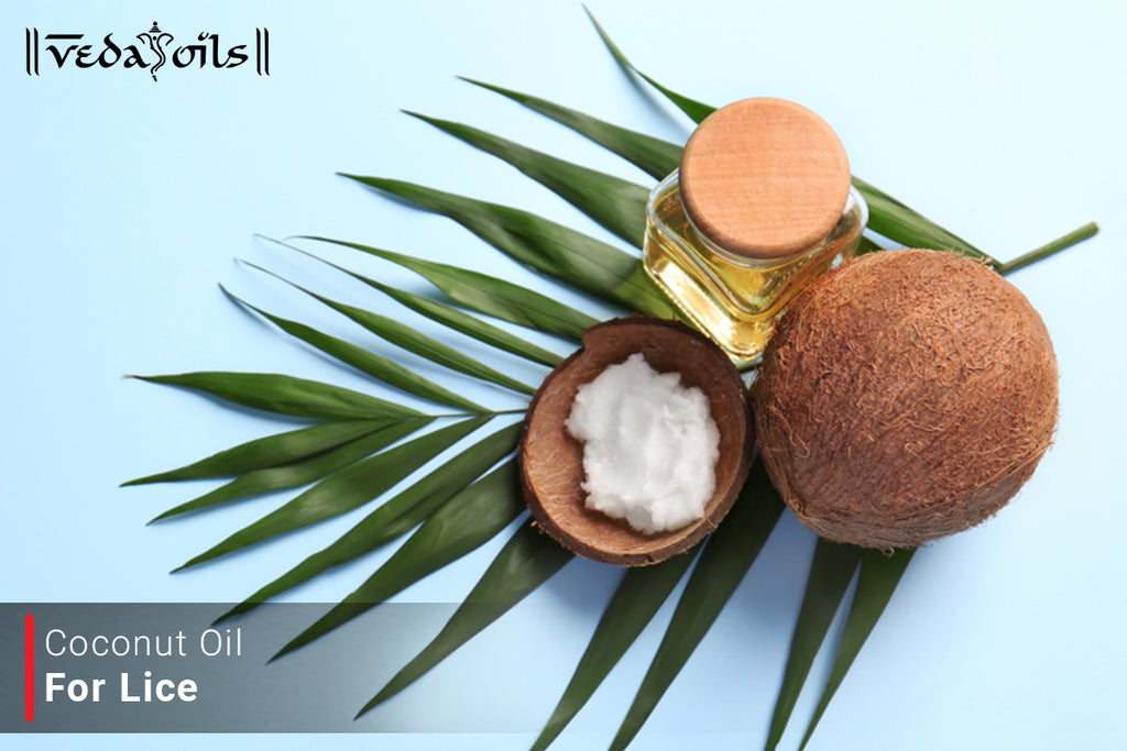 Best Coconut Oil For Lice For Lice Nits VedaOils