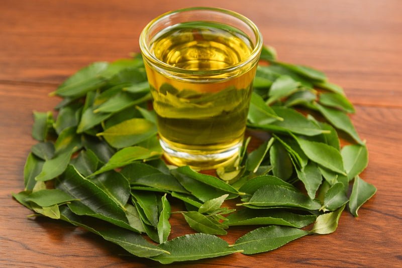 DIY Curry Leaf Oil Recipe For Hair Growth at Home