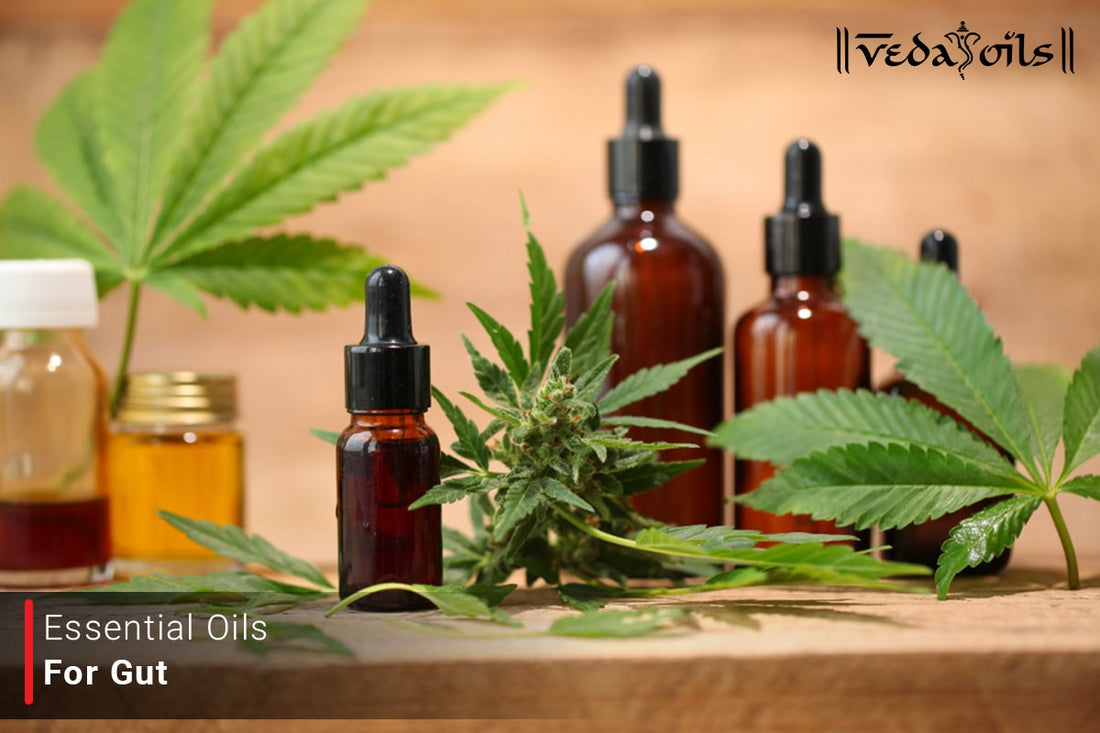 essential oils for gut health