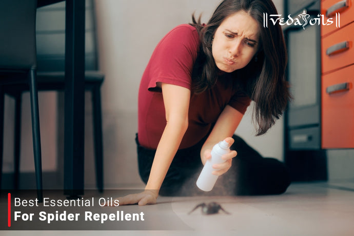 Essential Oils for Spider Repellent - Popular List of Oils
