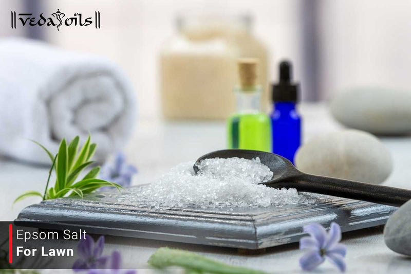 Epsom Salt For Lawn - How It Helps Your Lawn Stay Green