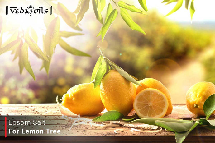 Epsom Salt For Lemon Tree And Citrus Trees