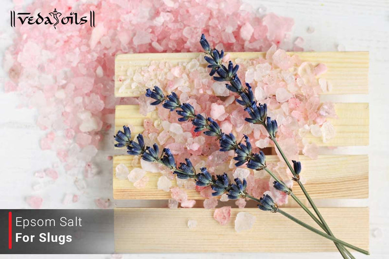 Epsom Salt For Slugs -  Benefits & How To Use