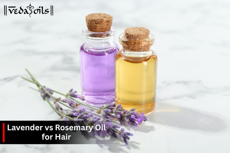 Lavender Vs Rosemary Oil for Hair - Best Choice for Haircare