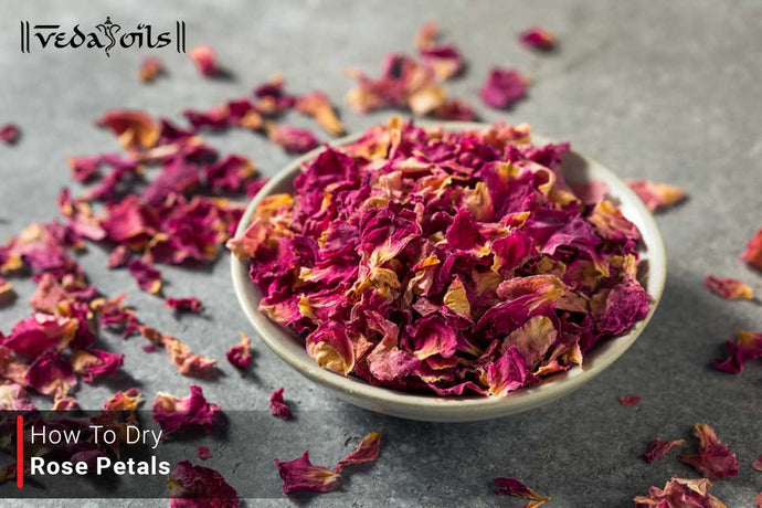 How To Dry Rose Petals? Methods Of Drying Petals