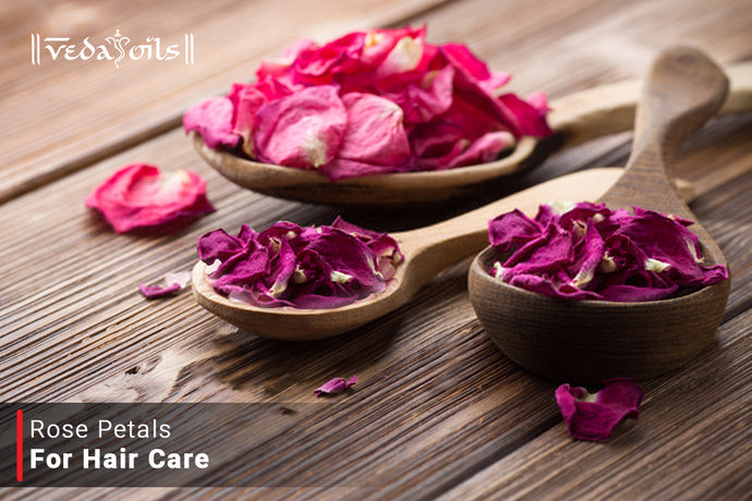 Rose Petals For Hair Care – A Little Love For Your Hair