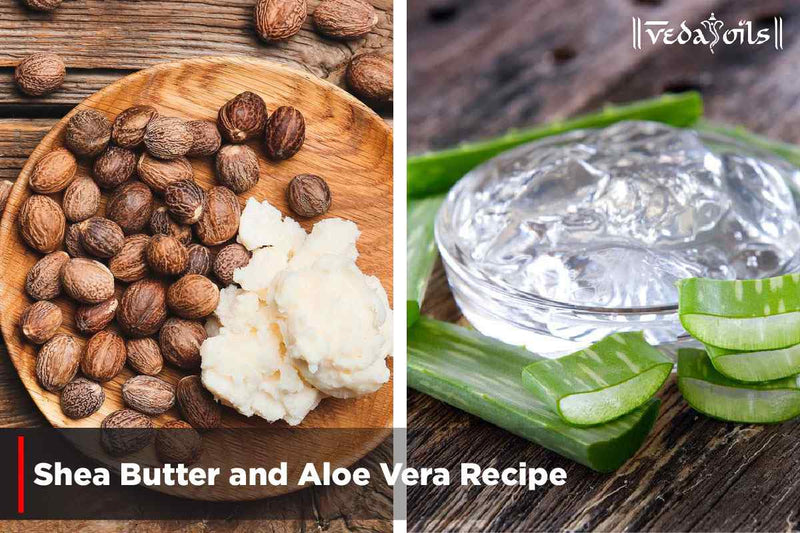 Shea Butter And Aloe Vera - Benefits & How To Use  VedaOils