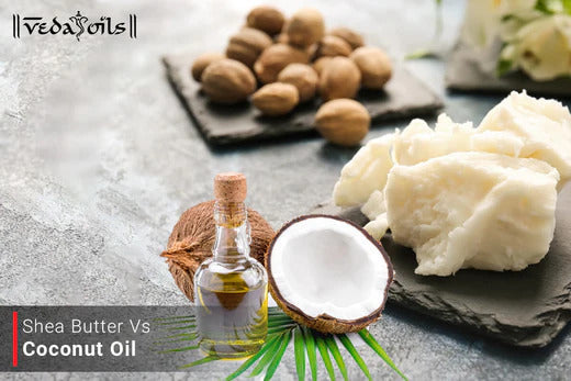 Shea Butter vs. Coconut Oil- Are They Good For Skin?