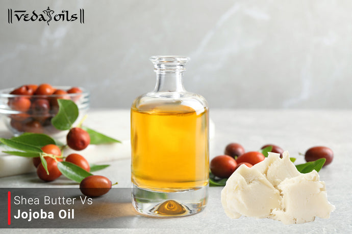 Shea Butter Vs Jojoba Oil - Which Is The Best Choice For You?
