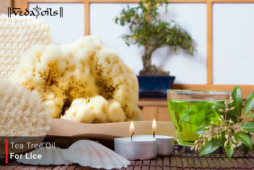 Tea Tree Oil For Lice - For Head Lice Prevention