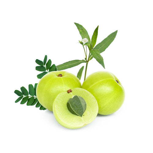 Amla Products
