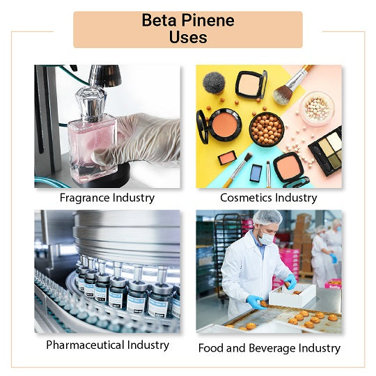 Beta Pinene Uses