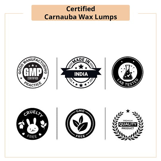 Certified Carnauba Wax Lumps 