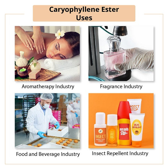 Caryophyllene Ester Uses