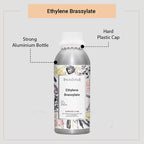 Ethylene Brassylate Wholesale Supplier