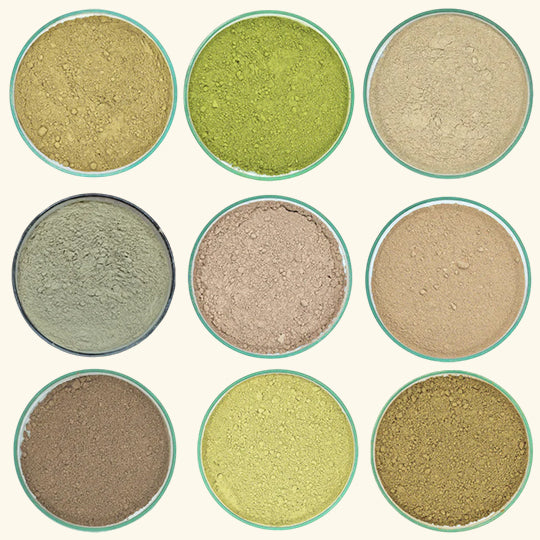 10 in 1 Herbal Hair Care Powder Kit