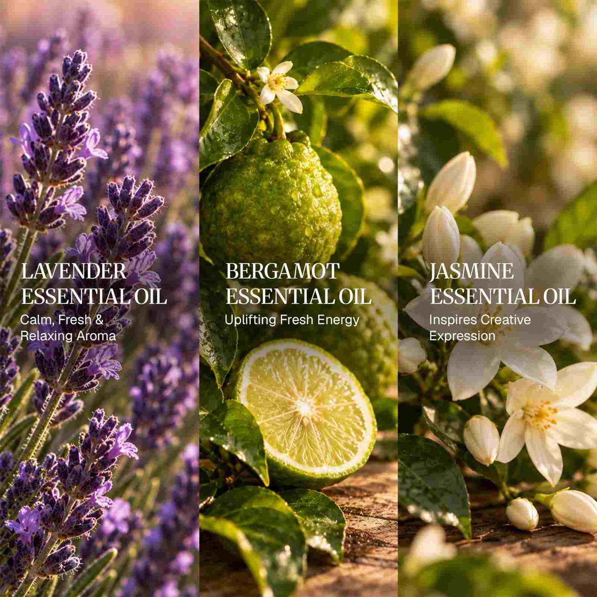 Buy Gemini Essential Oil Blend