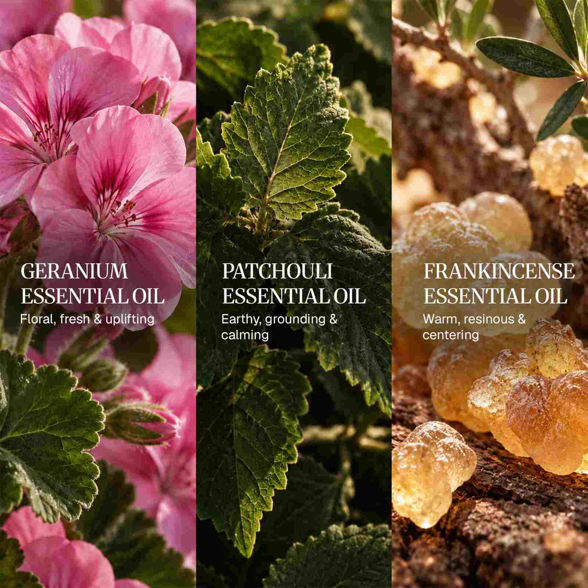 Blends of Aries Essential Oil Blend