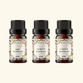 3 Dry Fruit Flavour Oil Sample Kit 
