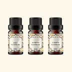 3 Dry Fruit Flavour Oil Sample Kit 