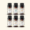 6 Citrus Fragrance Oils Sample Kit 