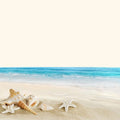 8th And Ocean Fragrance Oil