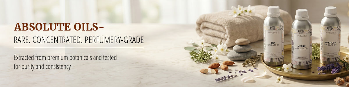 Absolute Oils — Premium Botanical Extracts, Factory-Direct