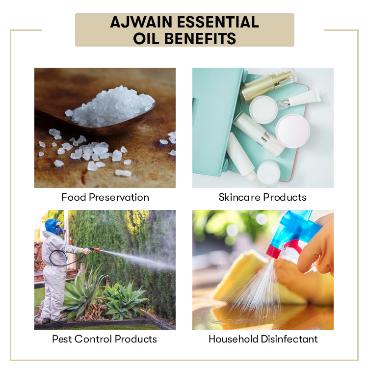 Ajwain-Essential-Oil Benefits