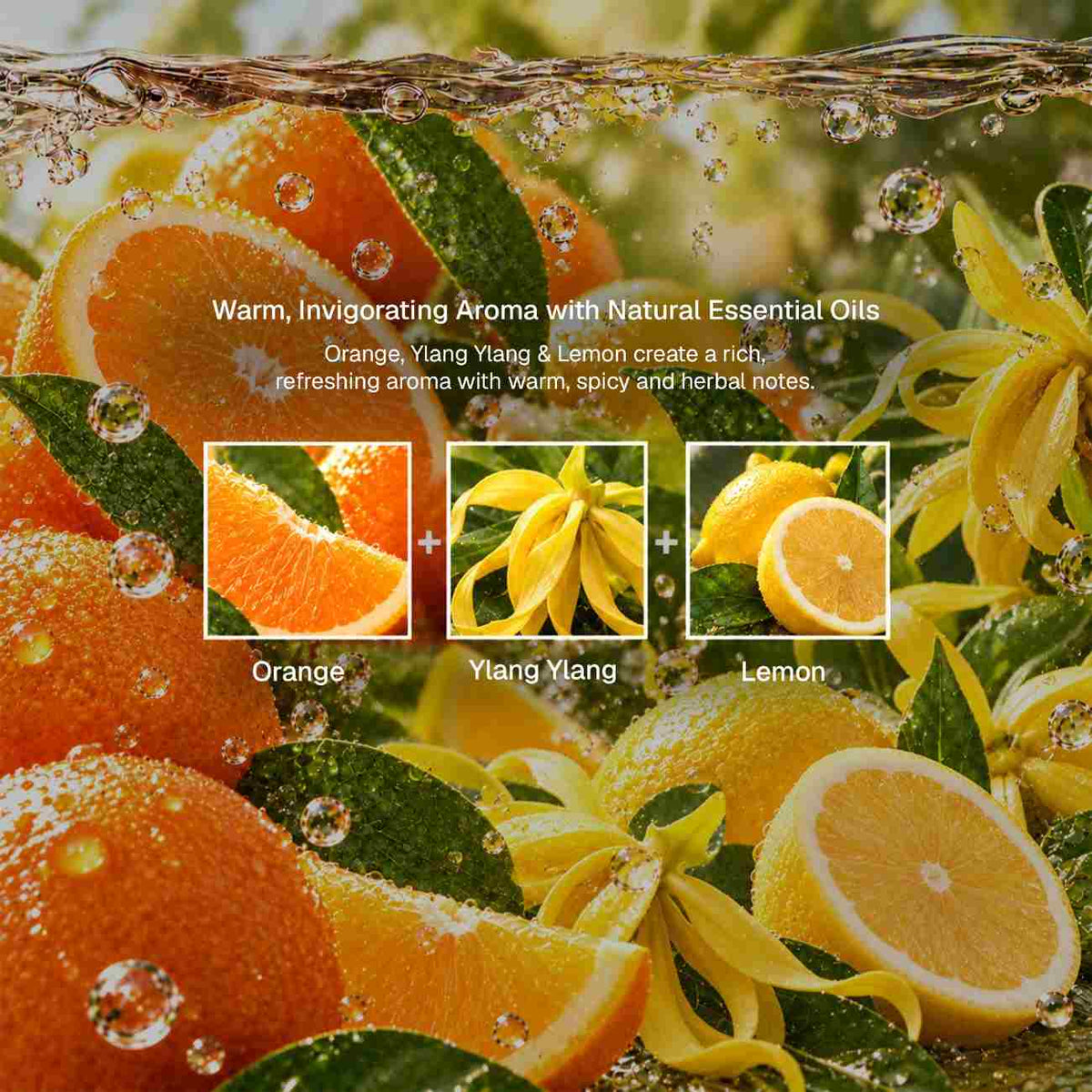 Ambience oil  blend type