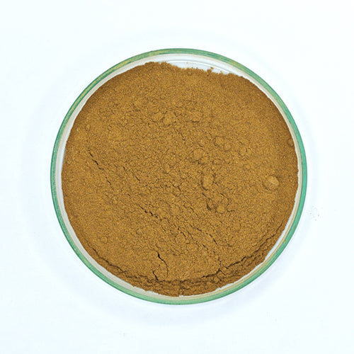Amla (Gooseberry) Powder
