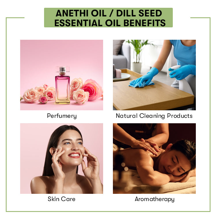 Anethi Oil / Dill Seed Essential Oil Benefits