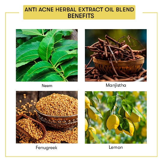 Anti Acne Herbal Extract Oil Blend