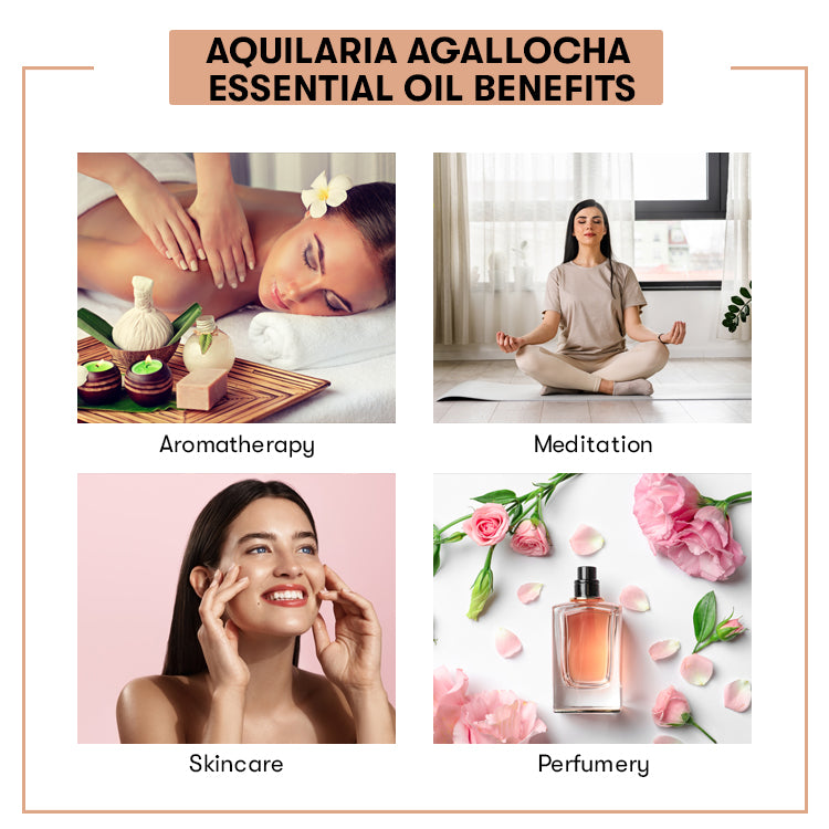 Aquilaria Agallocha Essential Oil Benefits