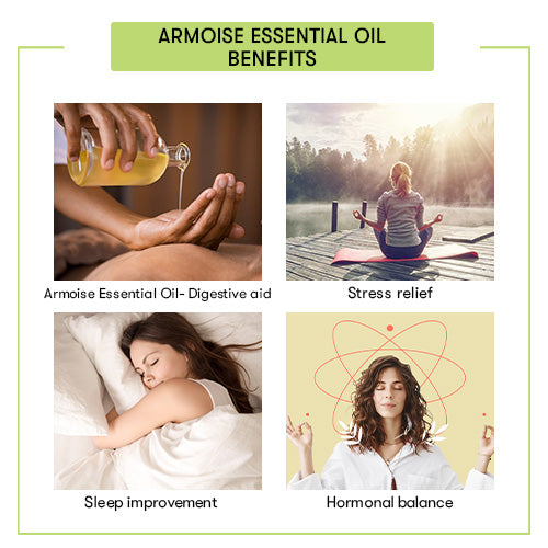 Armoise Essential Oil Bulk Benefits
