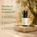Rosemary Oil - 10 Ml