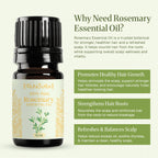 Rosemary Oil - 10 Ml
