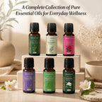 Rose Oil - 10 Ml