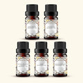 Autumn Fragrance Oils Sample Kit