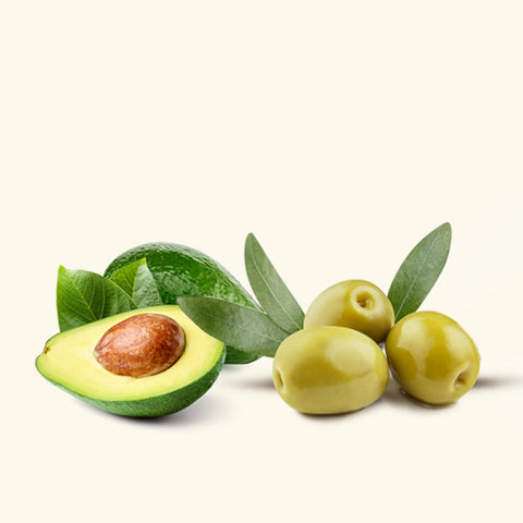 Avocado & Olive Butter Fragrance Oil