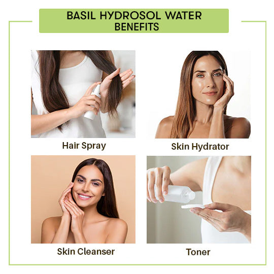 Basil Hydrosol
