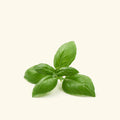 Basil Fragrance Oil