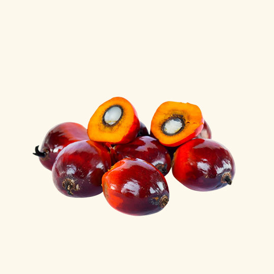 Batana Oil Product