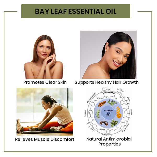 Bay Leaf Essential Oil Uses