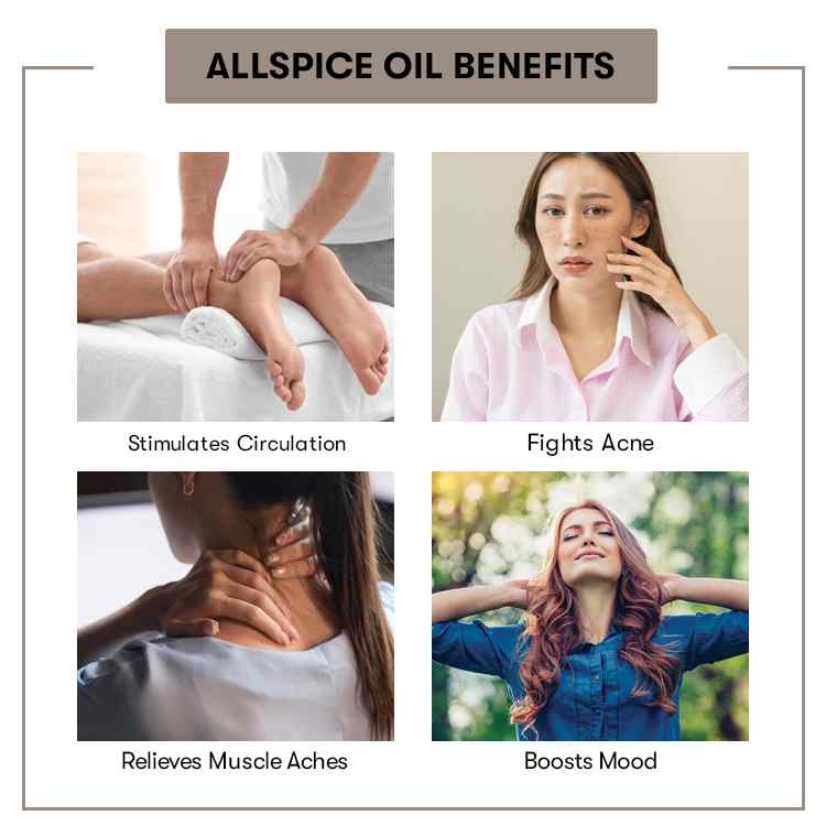 Benefit of Allspice Oil